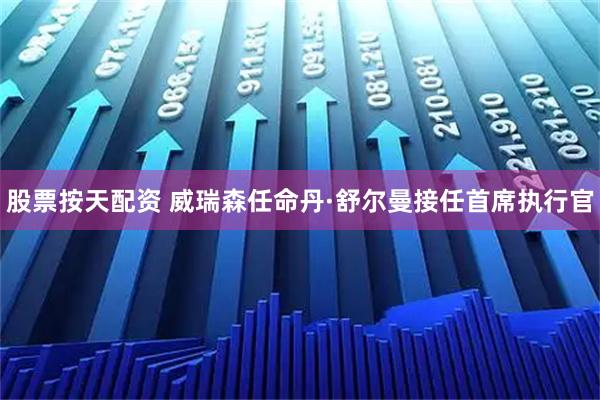 股票按天配资 威瑞森任命丹·舒尔曼接任首席执行官