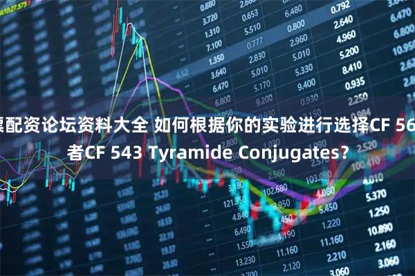 股票配资论坛资料大全 如何根据你的实验进行选择CF 568或者CF 543 Tyramide Conjugates？