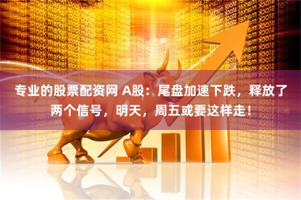 专业的股票配资网 A股：尾盘加速下跌，释放了两个信号，明天，周五或要这样走！